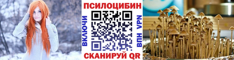 Галлюциногенные грибы прущие грибы  сколько стоит  Городище 